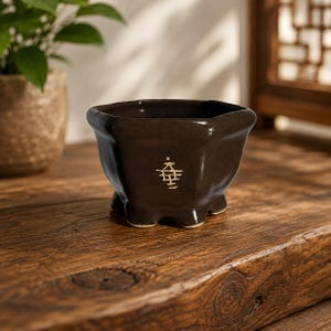 A stunning chocolate glossy hexagonal pot, measuring 9 cm diameter and 6 cm in height.