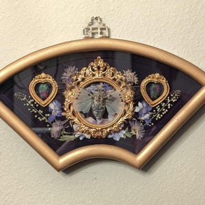 May include: A fan-shaped wall display featuring a gold frame containing a preserved cicada centered in an ornate gold oval frame, flanked by two small heart-shaped frames with green and red stones, all set against purple fabric and dried flowers.