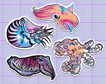 4 Cephalopod 8cm paper sticker set: octopus, squid, cuttlefish, nautilus,- tentacles, cthulu, octopus gift, scuba diving gift, laptop decals