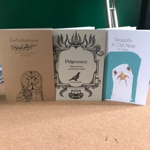 Vogelliebhaber Zine Set! Owllustration, pidgeonary und Möwen: Eine Cliff Note. Perfekt für Vogelliebhaber, Eulen, Tauben, Möwen. Vogel beobachten, Kunst