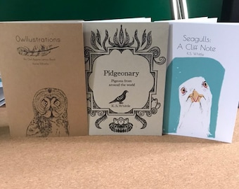 Bird lover zine set! Owllustration, pidgeonary and Seagulls: A Cliff Note. Perfect for bird lovers, owl, pigeons,gulls. Bird watching, art