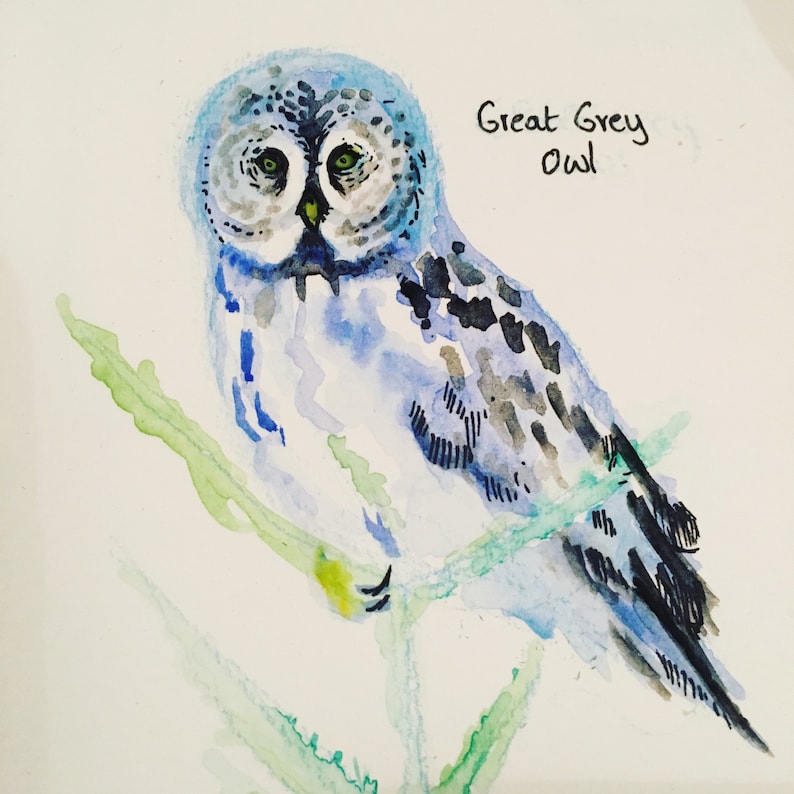 Owllustrations an owl appreciation book, owl gifts, watercolor, zine, nature, owl art, owls painting, owl lover image 6