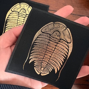 Peut inclure: Deux dessous de verre carrés noirs avec un motif de fossile de trilobite doré. Le trilobite est une illustration détaillée avec un corps segmenté et une tête. Les dessous de verre sont tenus dans une main, soulignant le contraste.
