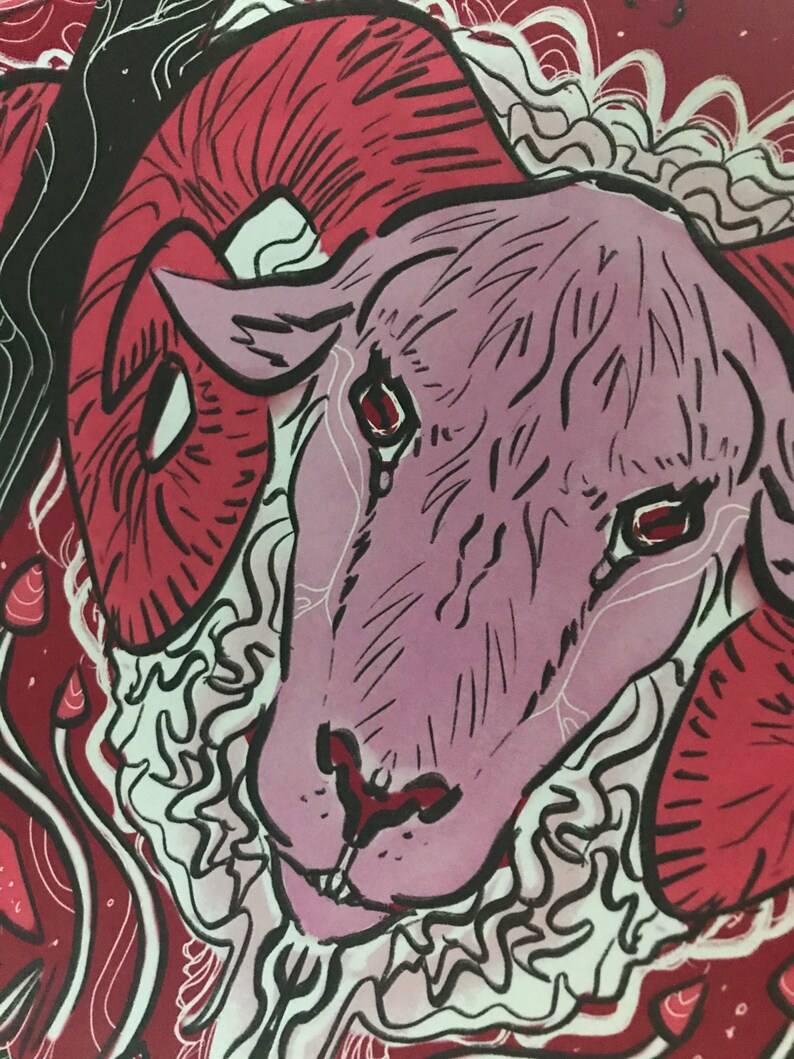 Puede incluir: Primer plano de la cabeza de una oveja rosa con cuernos rojos y lana blanca rizada. La cabeza de la oveja est&aacute; rodeada de un fondo abstracto rojo y blanco.