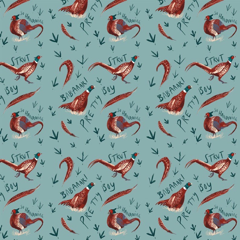 May include: A seamless pattern featuring a repeating design of colorful pheasants with text that reads "So Handsome", "Strut Boy", "Babaaki", and "Pretty Boy". The background is a light blue color.