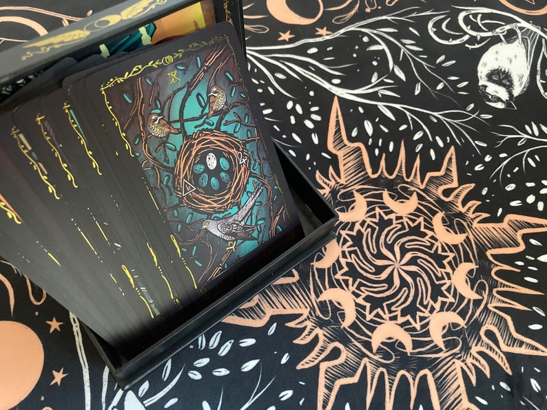 May include: A black box with a deck of cards inside. The cards have illustrations of birds and nests on a dark blue background. The box is open and the cards are fanned out. The box is sitting on a black and white patterned surface.