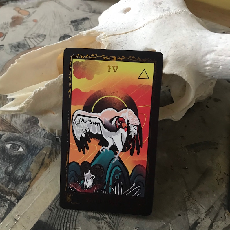 Occult Ornithology tarot 2nd edition- deck only! majors only deck celebrating the beauty of birds! -Deluxe set, Bird lover gift, beginners image 9