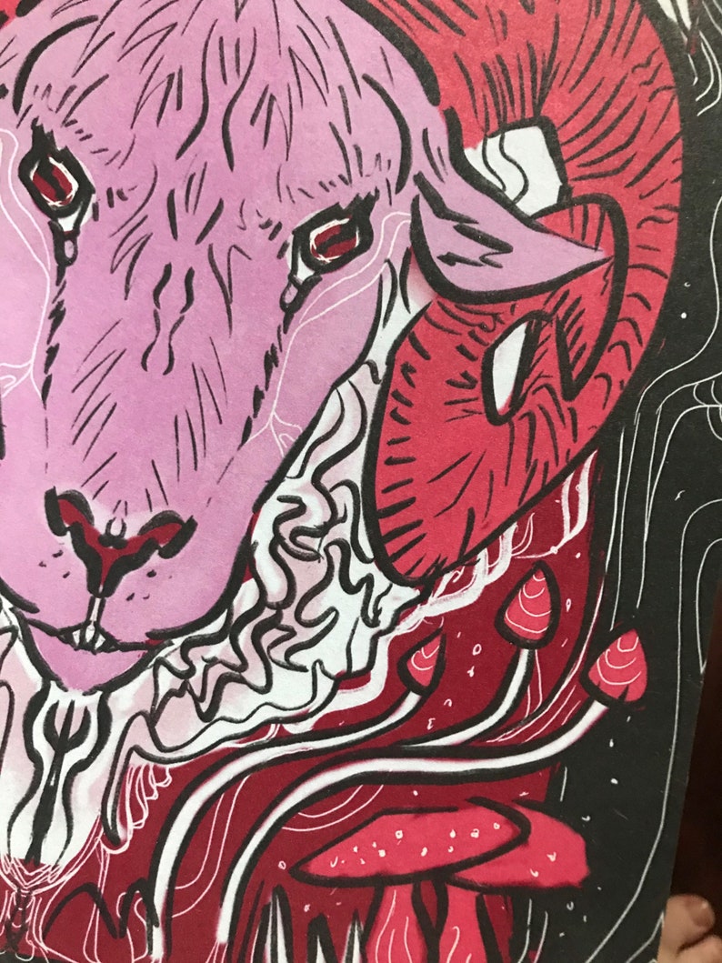 Puede incluir: Una ilustraci&oacute;n de una cabeza de carnero en rosa y rojo, con un cuerno grande y rizado. La cara del carnero est&aacute; detallada con l&iacute;neas negras y ojos rojos. El fondo es negro con setas rojas y blancas.