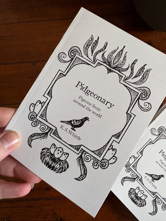 Pidgeonary- a pigeon appreciation book, pigeon gifts, zine, nature art, pigeons painting, bird lover, doves