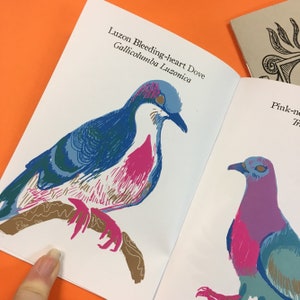 以下が含まれることがあります： カラフルな鳥のイラストが描かれた開いた本。左ページには、青、ピンク、白のルソンハトが描かれており、上にテキストがあります。右ページにはピンクと紫の鳥が描かれています。背景はオレンジ色です。