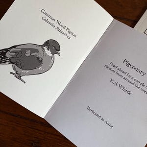 ピジェオナリー - 鳩の鑑賞本、鳩の贈り物、ジン、自然アート、鳩の絵画、鳥愛好家、鳩 画像 9
