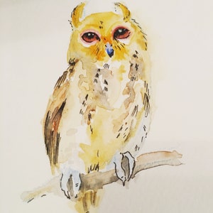 Owllustrations an owl appreciation book, owl gifts, watercolor, zine, nature, owl art, owls painting, owl lover image 7