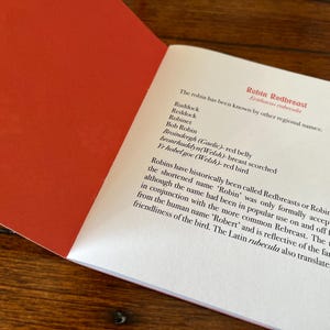 May include: A close-up of a page from a book about the Robin Redbreast. The text discusses the bird's regional names, including "Raddock", "Reddock", "Robinet", "Bob Robin", "Broindergh", "bronrhuddyn", and "Yr hobel goc".