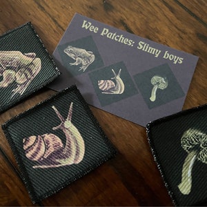 Conjunto de pequenos remendos: Slimy boys - conjunto de três remendos de 5 x 5 cm - caracol, sapo, presente para amantes de cogumelos, costurar, bordas finalizadas, jaqueta de batalha goblincore