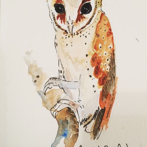 Owllustrations an owl appreciation book, owl gifts, watercolor, zine, nature, owl art, owls painting, owl lover image 3