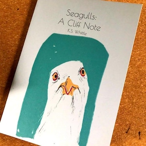 Puede incluir: Portada de libro con el título "Seagulls: A Cliff Note" y el nombre del autor, K.S. Whittle. La portada presenta una ilustración estilizada de la cara de una gaviota con ojos naranjas y un pico amarillo, sobre un fondo turquesa.