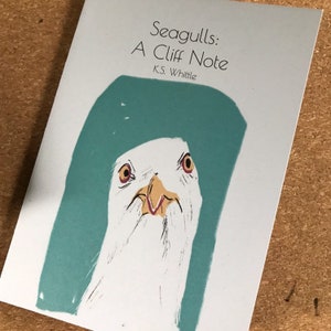 Może przedstawiać: Okładka książki z turkusowym tłem i białym mewą o czerwonych oczach i żółtym dziobie. Tytuł książki to "Seagulls: A Cliff Note" autorstwa K.S. Whittle.