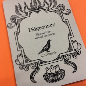 Pidgeonary- a pigeon appreciation book, pigeon gifts, zine, nature art, pigeons painting, bird lover, doves
