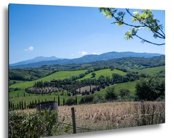 Tuscany Countryside Photography Print, Italian Landscape Wall Art, Cypress Tree Vineyard Decor