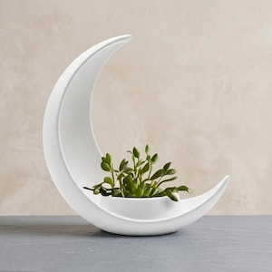 Può includere: Un vaso in ceramica bianca a forma di mezzaluna. Il vaso presenta una finitura liscia e opaca e un bacino circolare centrale che ospita una piccola pianta succulenta verde con diverse foglie, creando un oggetto decorativo pulito ed essenziale.
