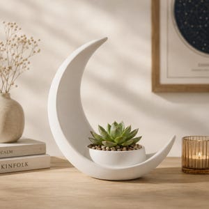 Può includere: Un vaso in ceramica bianca a forma di mezzaluna contenente una piccola pianta succulenta verde, posizionata in una base rotonda riempita di sassolini marrone chiaro. La struttura liscia e curva offre un supporto stabile per la pianta.