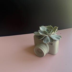 May include: A gray concrete planter shaped like a vintage camera, holding a light green succulent plant. The camera-shaped planter has a lens and other details. The background is a pink surface with a black backdrop.