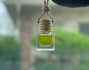 May include: A small, clear glass car air freshener with a light green liquid inside. The wooden top is cylindrical with a small wooden bead and a string for hanging. The background is blurred with green foliage.