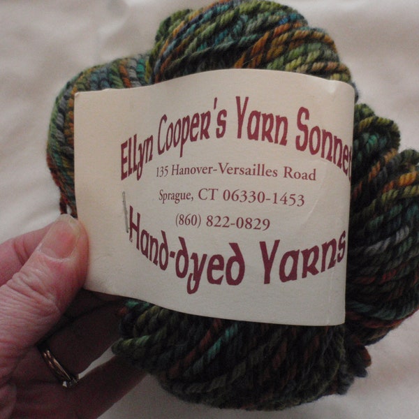 Ellyn Cooper Yarn Sonnets Hand Dyed Lets Twist Wool Skein Worsted Indigo Girls