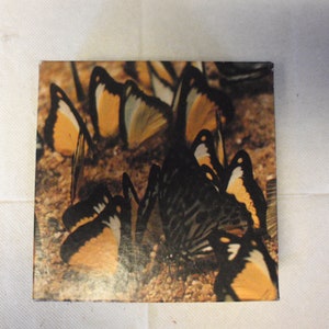 Springbok 1974 70pc Butterflies Mini Puzzle- Complete