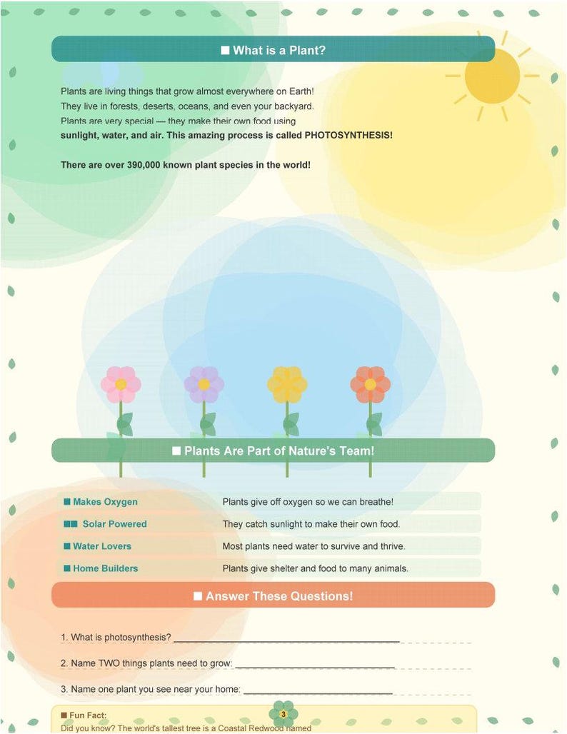 Little Garden Explorers Workbook - Etsy UK