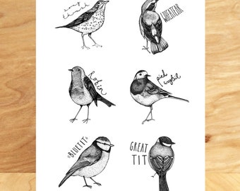 Bird Wallchart print - A4