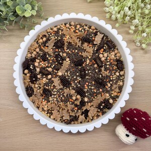 May include: A white scalloped-edge circular tray filled with a mixture of dry brown rice, orange and yellow lentils, chickpeas, and dark brown and tan pasta shapes. A small crocheted mushroom with a red cap and white stem sits nearby.