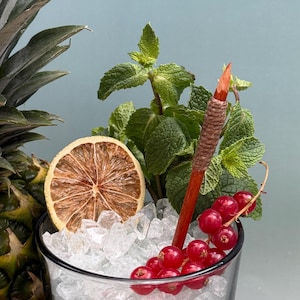 Op de afbeelding: Een glas gevuld met crushed ice, gegarneerd met een schijfje gedroogde citrusvrucht, een takje verse groene munt, een trosje felrode aalbessen en een houten roerstaafje omwikkeld met bruin touw, geplaatst naast een ananas.