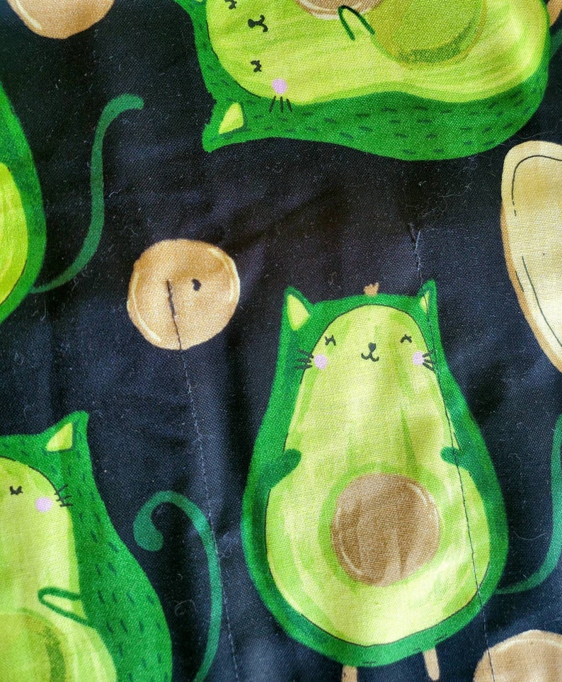 Avocado Cat Toast Roll Up PencilWriting Case Black and Green