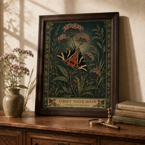 Op de afbeelding: Een ingelijste botanische print met een Spaanse vlag, Euplagia quadripunctaria, met zwart-oranje vleugels rustend op roze bloemen en groen blad, tegen een donkergroenblauwe achtergrond in een donkerhouten lijst.