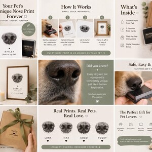 May include: A pet nose print kit with a dog nose print on the box and cards. The kit includes an inkless pad for safe and easy nose prints. The image also shows a framed nose print and a gift box.
