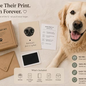 May include: A golden retriever dog next to a nose print kit. The kit includes a gift box, print paper card, inkless print pad, instructions, and an envelope. Text on the box reads "NOSE PRINT KIT". The kit is designed to capture a pet's unique nose print.