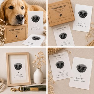 May include: A pet nose print kit with a golden retriever. The kit includes a brown box, inkless nose print pads, and framed prints. The prints feature a dog's nose print with the name "BAILEY" and the phrase "forever in my heart."