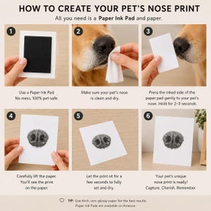 May include: Step-by-step guide to creating a pet's nose print. Includes a black ink pad, a dog's nose, and a white paper. Instructions include cleaning the nose, inking the nose, and pressing it onto the paper. The final print is shown.