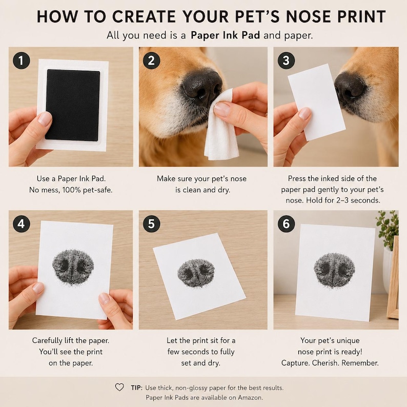 May include: Step-by-step guide to creating a pet's nose print. Includes a black ink pad, a dog's nose, and a white paper. Instructions include cleaning the nose, inking the nose, and pressing it onto the paper. The final print is shown.