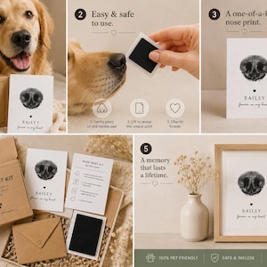 May include: A pet nose print kit with a Golden Retriever. The kit includes a brown box, a print card, and an ink pad. The print card has a nose print and the text "BAILEY forever in my heart". The kit is a unique keepsake.