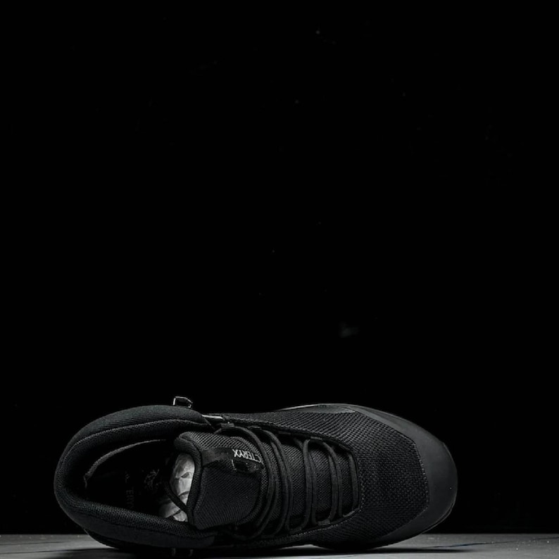 May include: Black hiking boot with a mesh upper and a lace-up closure. The boot has a padded collar and a durable rubber sole. The boot is designed for outdoor activities and features the brand name "TERREX".