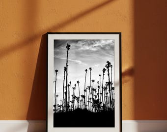 Impresión digital, siluetas, fotografía digital en blanco y negro, arte botánico.
