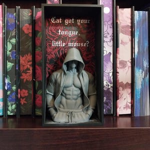 May include: A gray 3D-printed bust of a muscular figure wearing a hooded jacket, displayed inside a black rectangular shadow box. The background inside the box features a red rose pattern and the text, Cat got your tongue, little mouse?