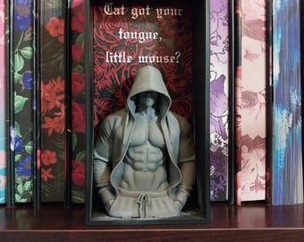 Decoración de caja de sombras de romance oscuro / Exhibidor de estantería "Reclamado por el villano" / Decoración gótica para estantería BookTok / Regalo para lectores impreso en 3D