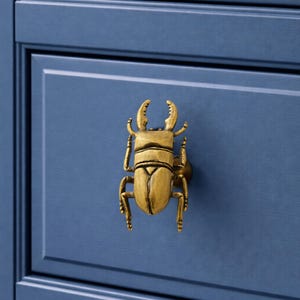 Brass Stag Beetle Knob – Insect Drawer Pull, Vintage Cabinet Handle, Nature Decor