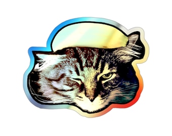 Sticker holografische knipogen kat banaan, grillige meme vinyl sticker