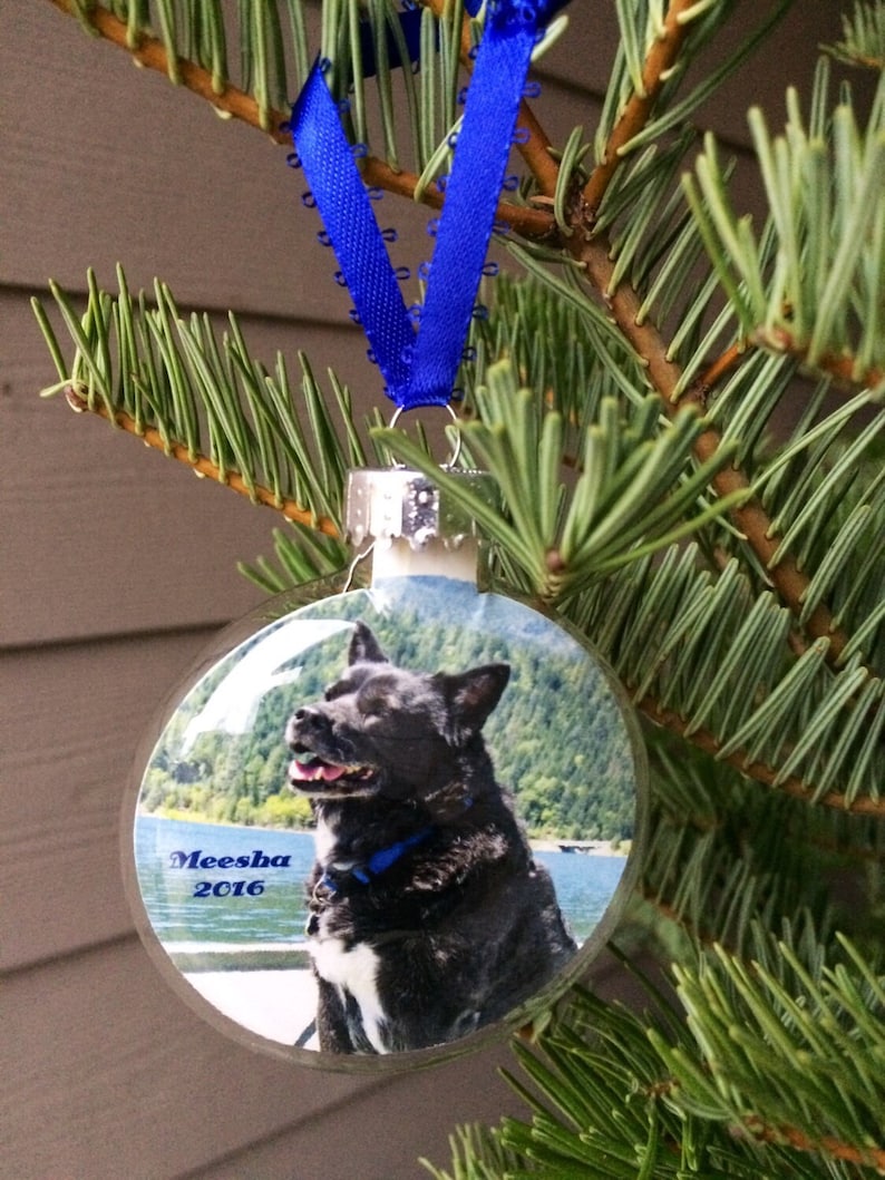 GLASS Personalized Photo Ornament Pet Memorial Ornament Etsy