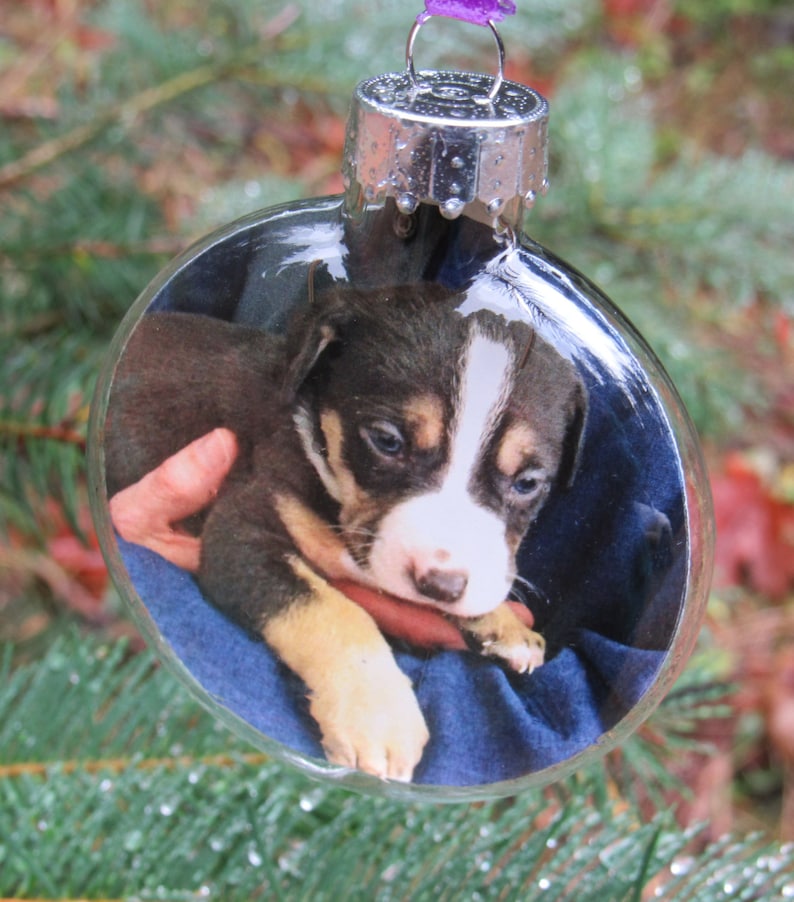 GLASS Personalized Photo Ornament Pet Memorial Ornament Etsy