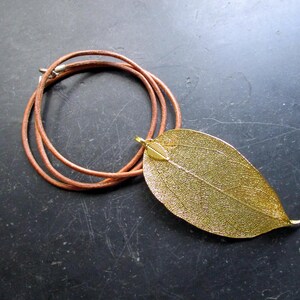 Necklace, pendant, leaf, real, gold-colored, leather strap, leaf, jewelry, Bodhi tree